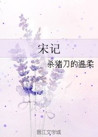 《宋记》