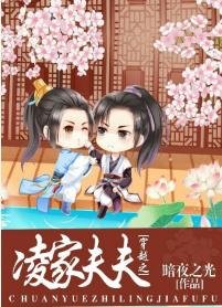 《穿越之凌家夫夫》