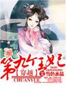 《穿越,第九个王妃》