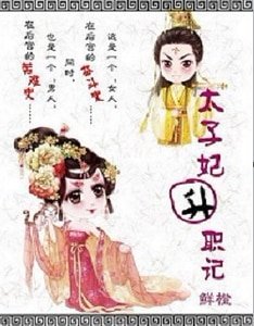 《太子妃升职记(出书版)》