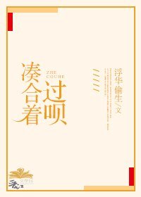 《凑合着过呗》