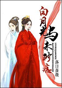 《白月光与朱砂痣(穿越)》