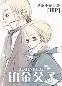 《(HP同人)铂金父子》