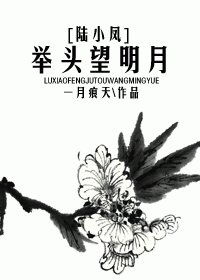 《(陆小凤同人)举头望明月》