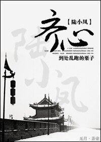 （陆小凤同人）齐心