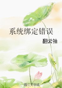 《系统绑定错误》