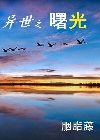 《异世之曙光》