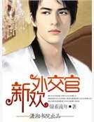 《新欢外交官》