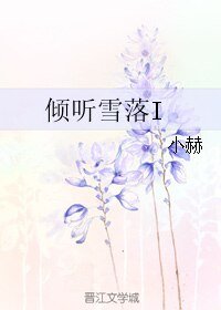 倾听雪落I