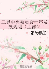 《三界中兴委员会十年发展规划(上部)》