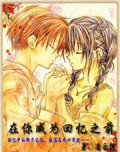 《月羽风云录/在你成为回忆之前》