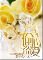 《偷心盗爱》