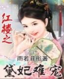 《(红楼同人)红楼之黛妃难宠》