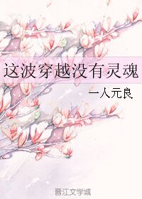 《这波穿越没有灵魂》