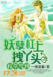 《校草驾到:妖孽杠上拽丫头》