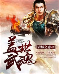 《盖世武魂》