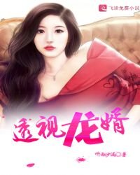 《透视龙婿》