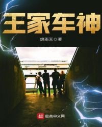 《王家车神》