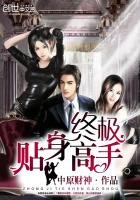 《终极贴身高手》