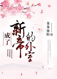 《成了新帝的外室》