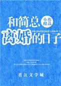 《和简总离婚的日子》