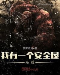 《我有一个安全屋系统》