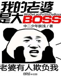 《我的老婆是大BOSS》