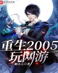 重生2005玩网游