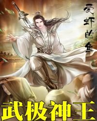 《武极神王》