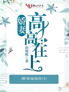 《娇妻高高在上》