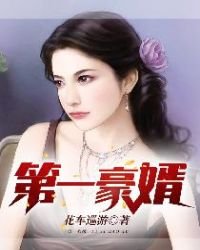 《第一豪婿》