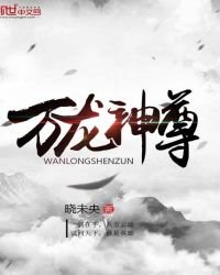 《万龙神尊》