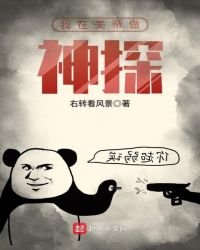 我在美帝做神探