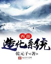 《西游造化系统》