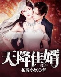 《天降佳婿》