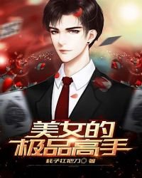 《美女的极品高手》