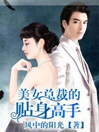 《美女总裁的贴身高手》