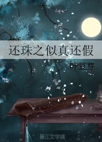 （BG/还珠同人）还珠之似真还假