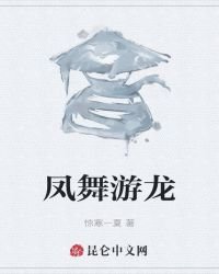 《凤舞游龙》