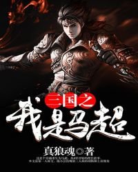 《三国之我是马超》