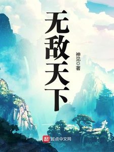 《无敌天下》