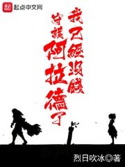 《我已经没钱守护阿拉德了》