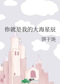 《你就是我的大海星辰》