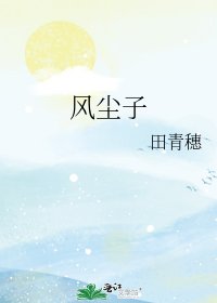 《风尘子》