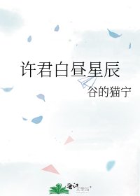 《许君白昼星辰》