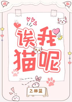 《诶我猫呢》