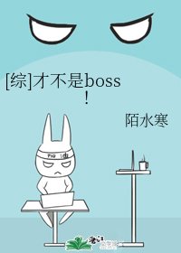 （综同人）[综]才不是boss！