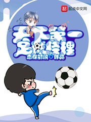 《天下第一足球经理》