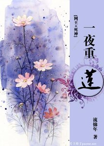 《(综漫同人网王+死神)一夜重莲》