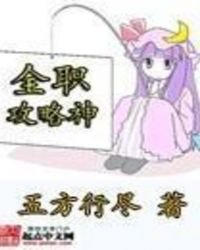 全职攻略神
